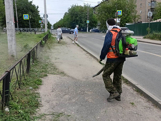В Иванове за неделю выкашивают до 500 тысяч квадратных метров травы